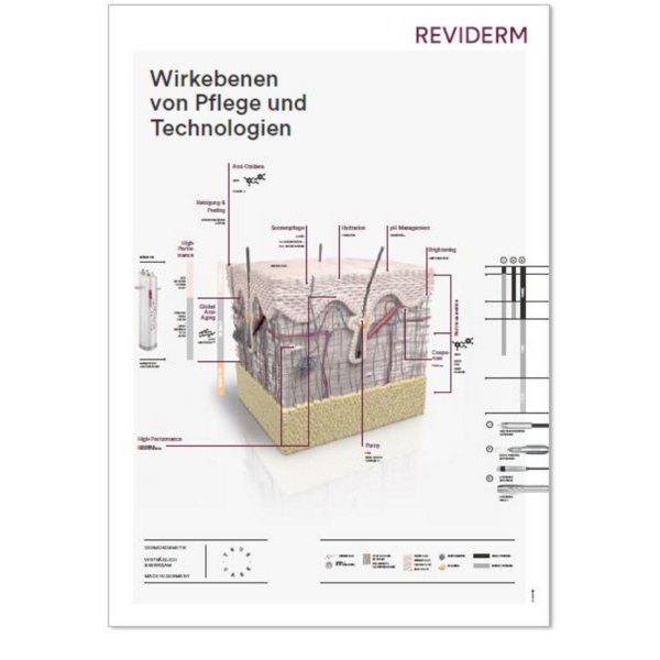 REVIDERM poszter A1 - A bőr keresztmetszete