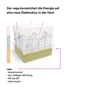 VEGA alapgép + kezelőfej